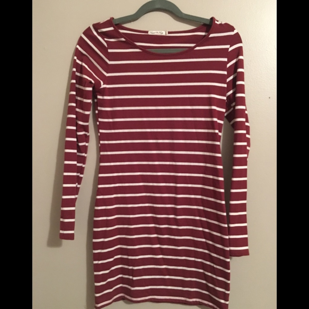 Fitted long sleeve tunic/dress